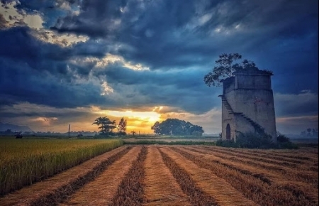 Old brick kiln, a new check-in destination in Hoi An - Vietnam