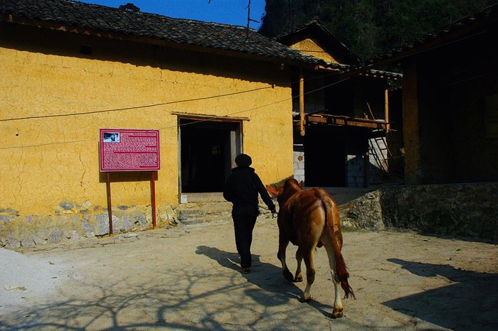 paos house a cultural and architectural attraction in ha giang province
