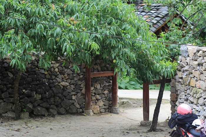 paos house a cultural and architectural attraction in ha giang province