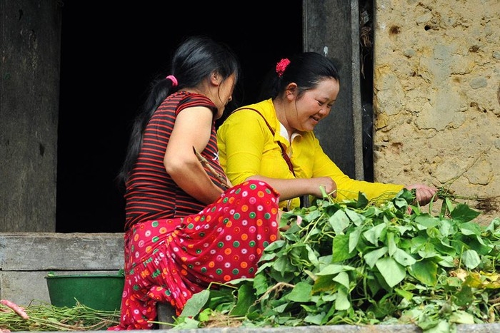 paos house a cultural and architectural attraction in ha giang province