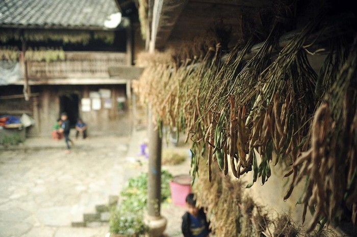 paos house a cultural and architectural attraction in ha giang province