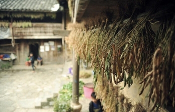 paos house a cultural and architectural attraction in ha giang province