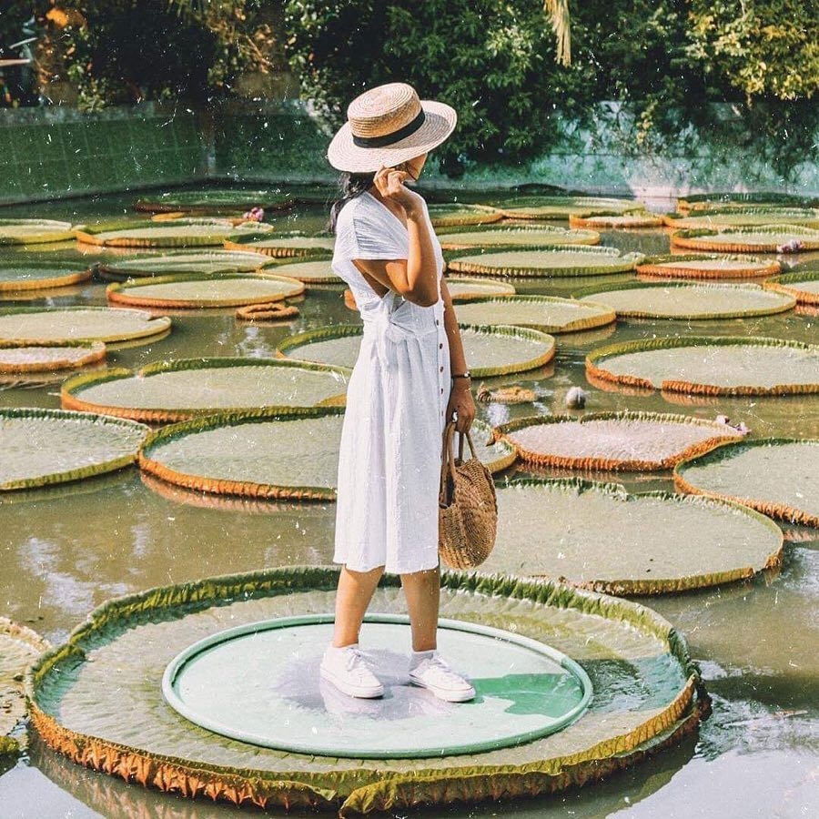 Giant lotus leaf: Adult can stand up floating on its surface one of a kind giant lotus leaf adult can stand up floating on its surface