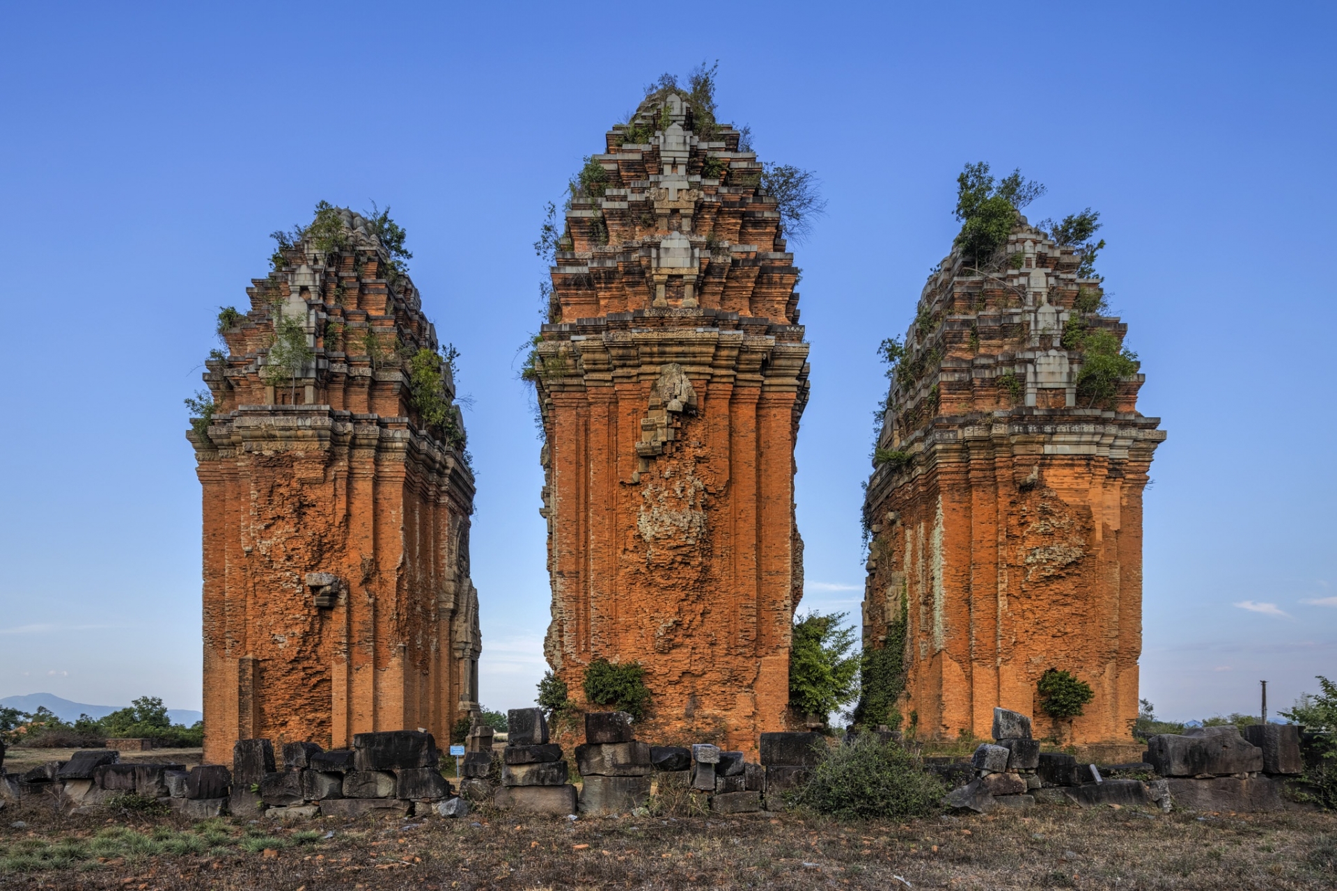 A glimpse of the wild and peaceful Quy Nhon a glimpse into the wild and peaceful quy nhon