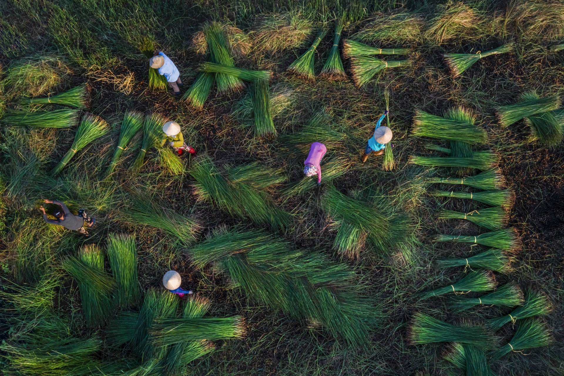 A glimpse of the wild and peaceful Quy Nhon a glimpse into the wild and peaceful quy nhon