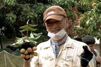 pick off and enjoy lychees model attracts japanese visitors