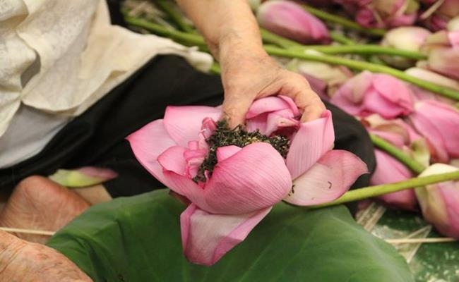 Three most expensive teas in Vietnam Three most expensive teas in Vietnam