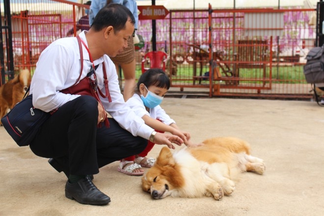 Ideal café in Da Lat for puppy lovers A little girl playing with a dog at Cats and Dogs Clubhouses