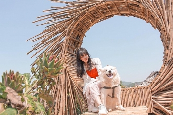 ideal dog themed cafe in da lat for pet lovers