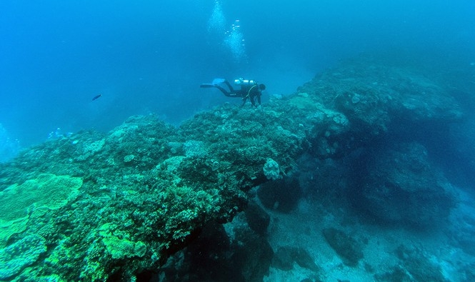 Be Island, the “little pearl” of the heaven One can go snorkeling