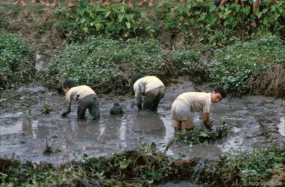 simple beauty of ninh binh province in the 90s