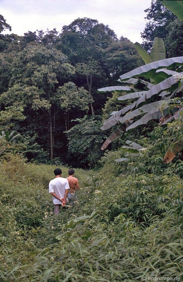 After discovering Cuc Phuong National Park and walking in the forest, Grumpe learnt himself that it'd better to stay alert in the forest as there could be a lot of leeches.