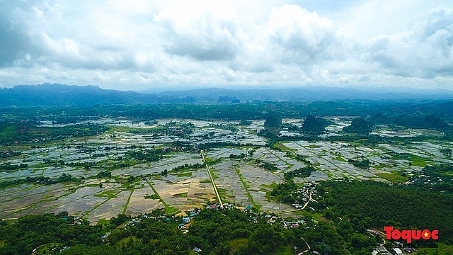 Rice paddy fields 
