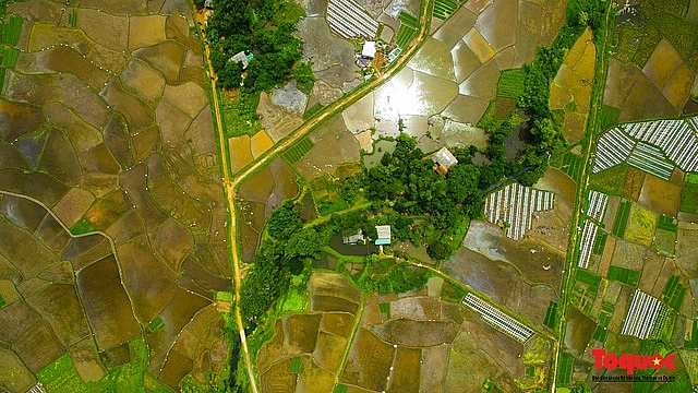 Vietnam Top Destination: Moc Chau rice paddy fields glitters in watery season