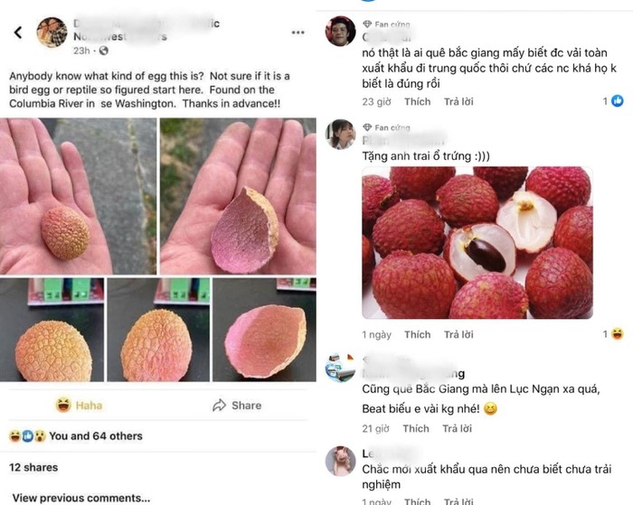 Many Vietnamese people comment on the post 