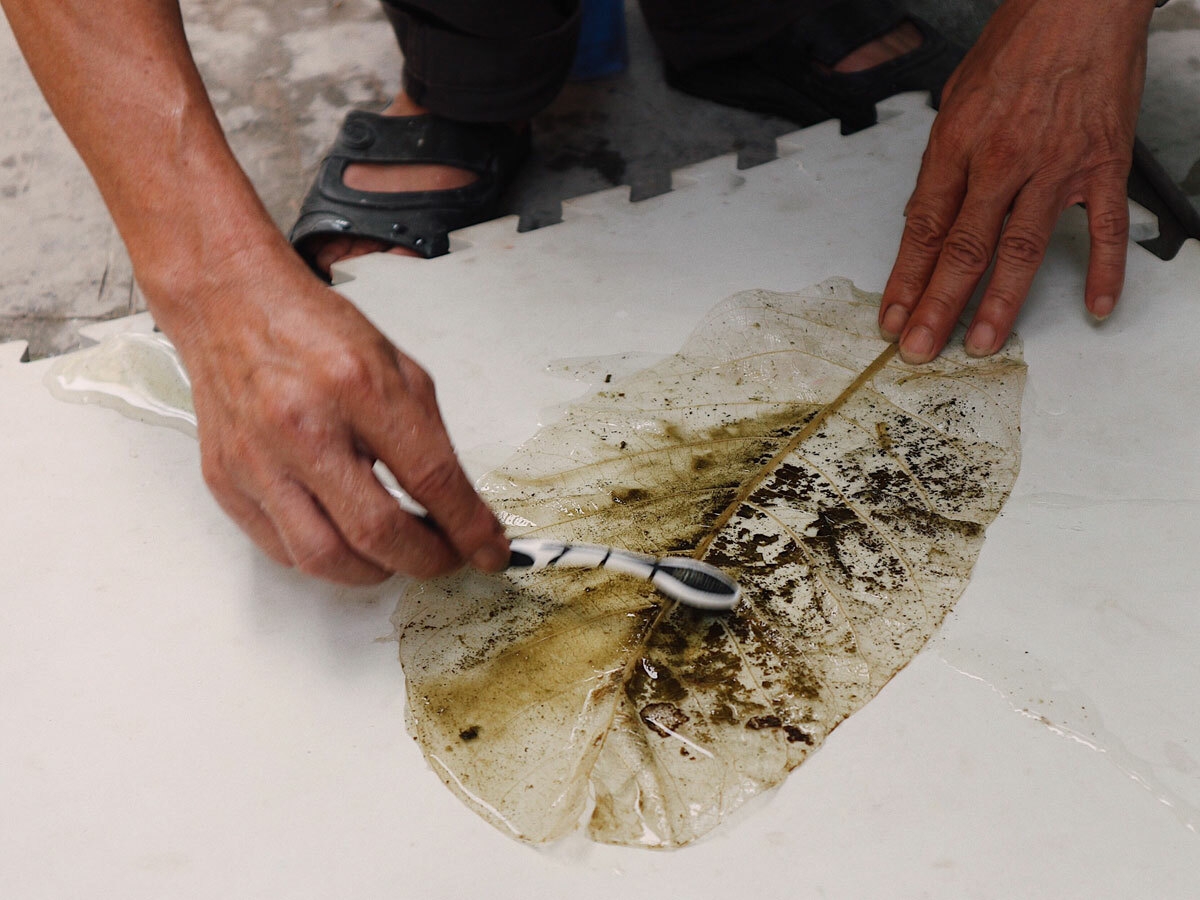 craftman who turns almond leaves into transparent conical hats