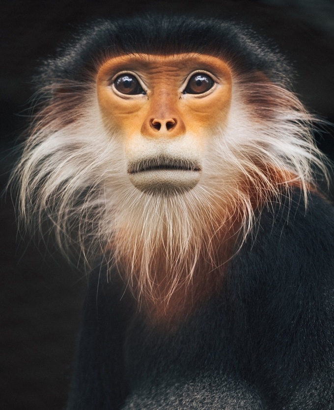 Vietnam National Parks gets rave reviews on New York Times Vietnam National Parks gets rave reviews on New York Times