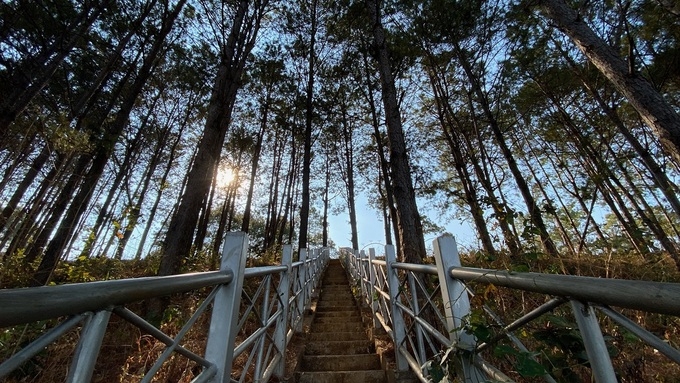 Top Vietnam Destinations: Glamorous Pleiku in the eyes of avid travel loner