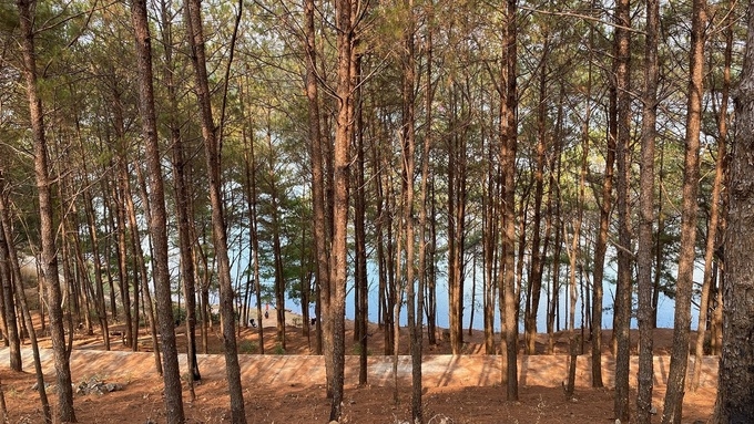 Top Vietnam Destinations: Glamorous Pleiku in the eyes of avid travel loner