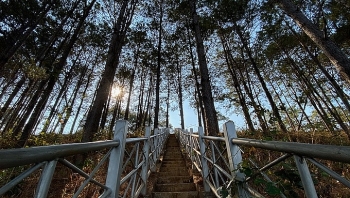 top vietnam destinations glamorous pleiku in the eyes of avid travel loner