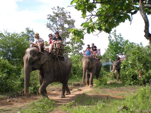 Elephant riding at yok don national park