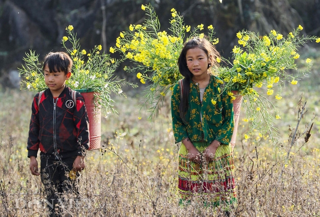 Innocent beauty of minority ethnic children in Northern Vietnam Innocent beauty of minority ethnic children in Northern Vietnam