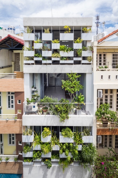 Stylish 'vertical garden' shields west-facing house from baking sun