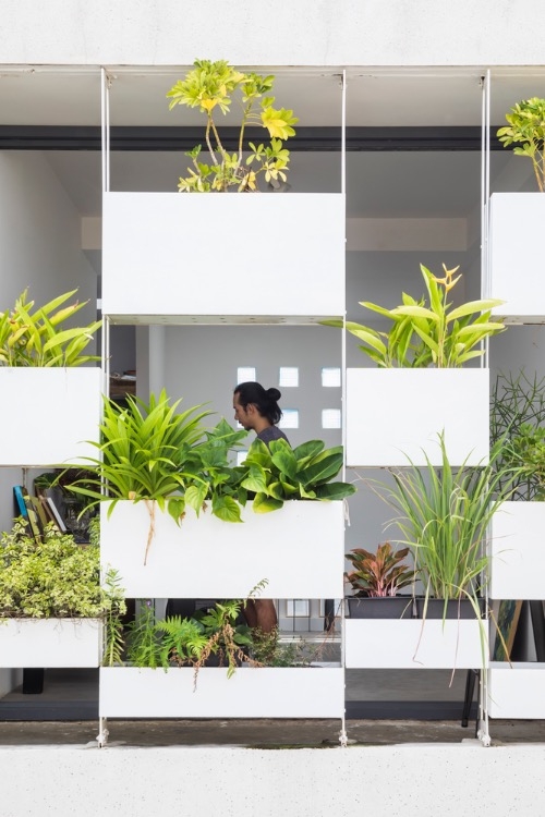 A closer look at the vertical garden.