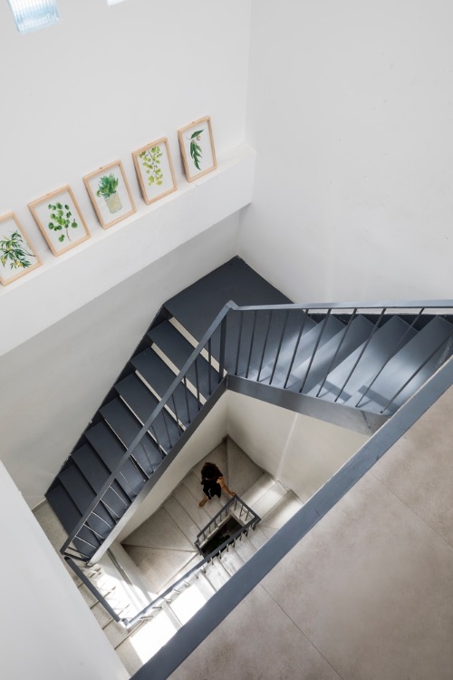Stylish 'vertical garden' shields west-facing house from baking sun