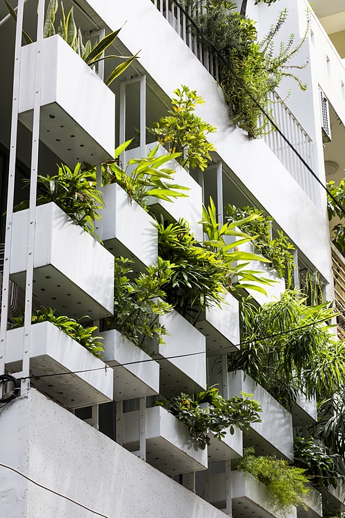 The potted trees keep the house from dust, baking sunlight 