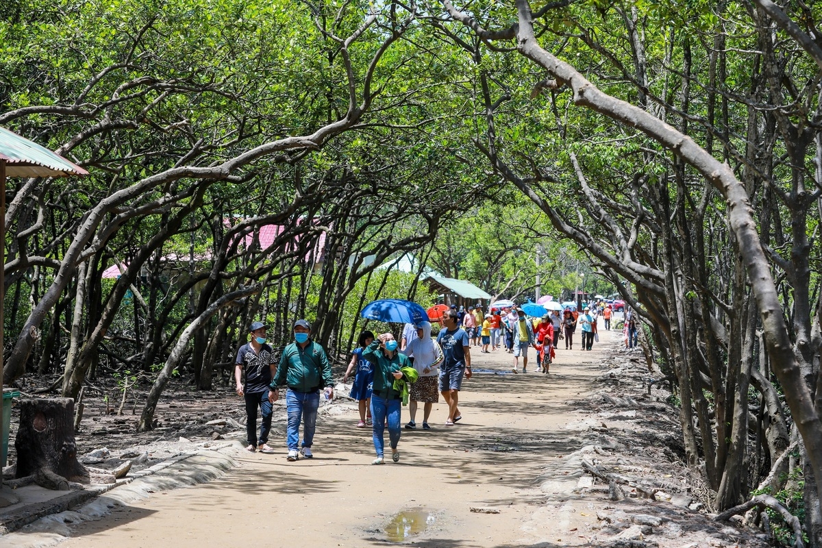 Tourist destination flocked with thousands of monkeys