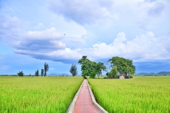 11 must-see artful corners in Hue 11 must-see artful corners in Hue