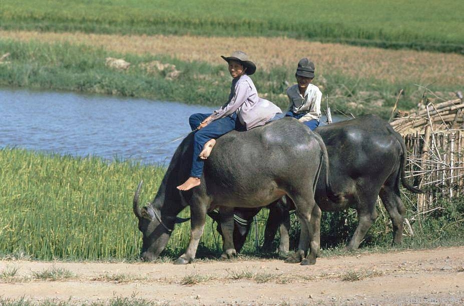 Memorable photos of daily life in Quang Nam early 1990s