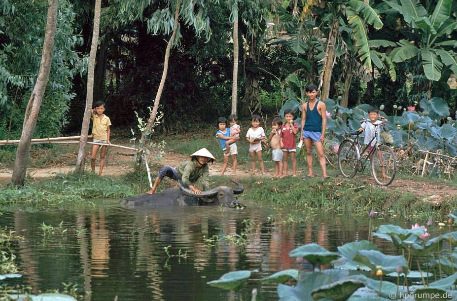 Memorable photos of daily life in Quang Nam early 1990s