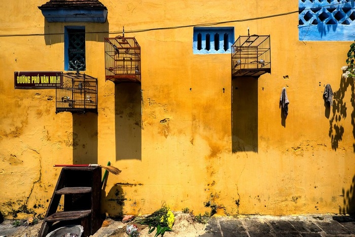 Captivating Hoi An under the lens of a foreign photographer Bright yellow walls can easily be seen across the ancient town. The color is hailed one typical hue of Hoi An