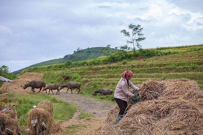 Top Vietnam Destinations: Year-round magical beauty of Y Ty - the northern highland Top Vietnam Destinations: Year-round magical beauty of Y Ty - the northern highland