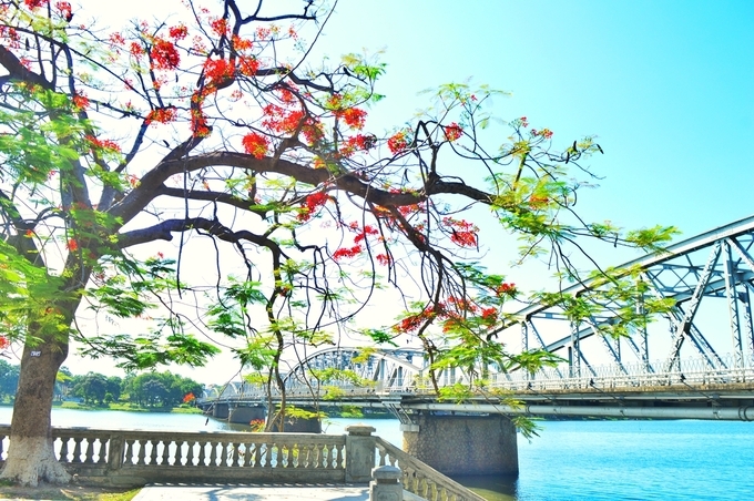 The charming grace of Truong Tien Bridge in Hue