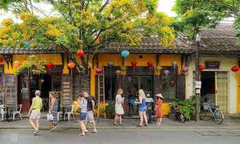 Stranded Foreign Tourists Find Silver Lining in Vietnam