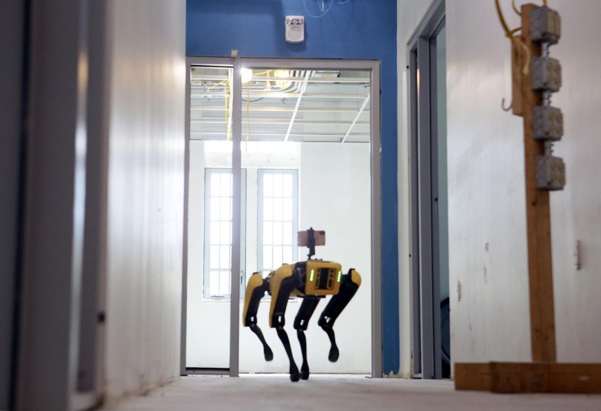 Dog-like Robot Sparks Debate in the US