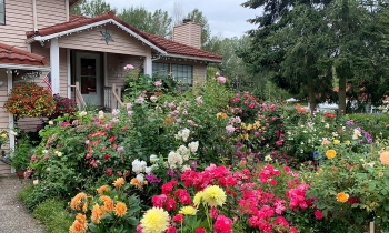 dreamlike vietnamese flowers and veggies garden in the us