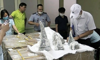 Prosecuting a man smuggling 126kg rhino horns from Dubai to Vietnam