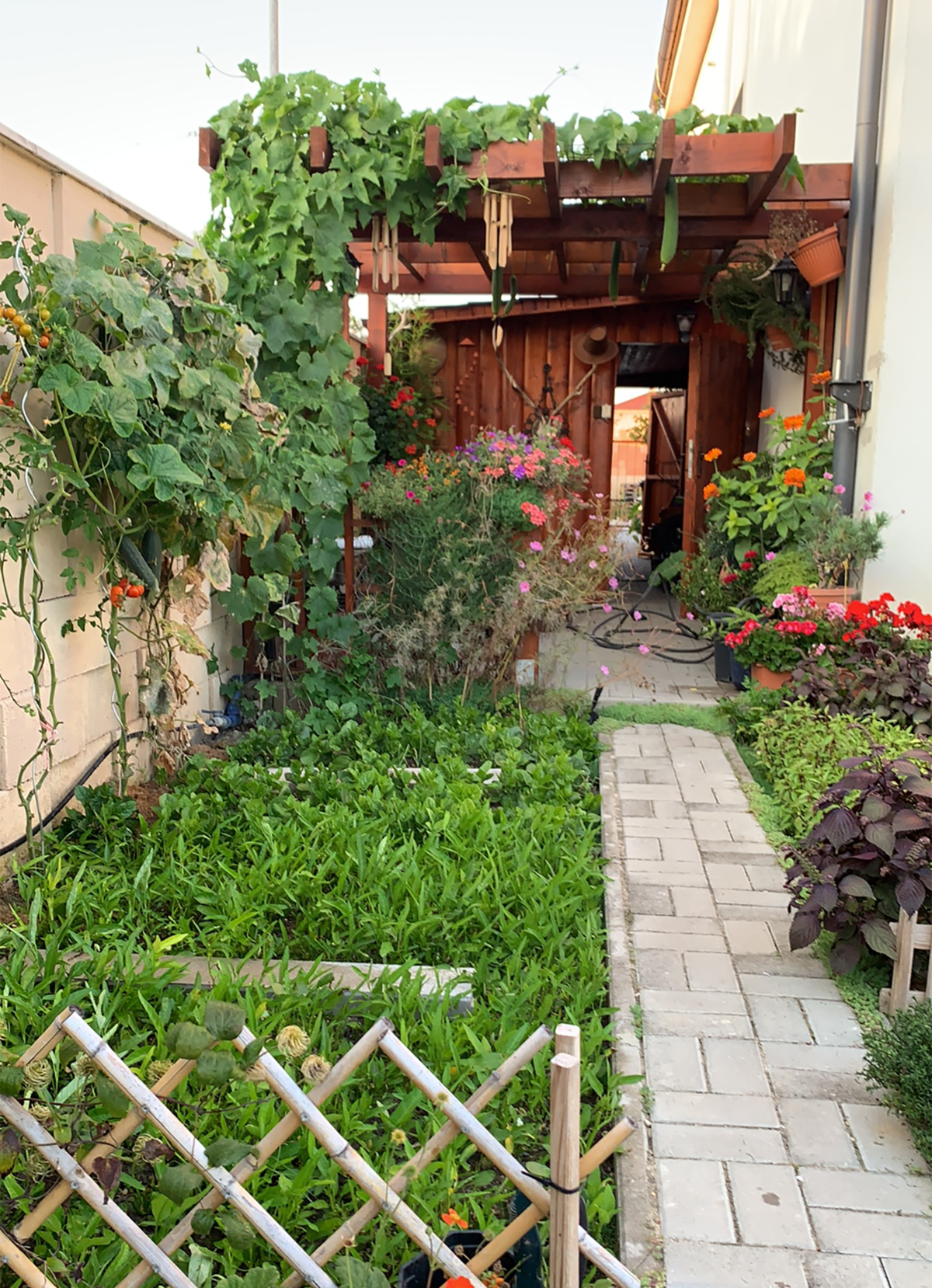 A Vietnamese garden in the midlle of Slovakia A Vietnamese garden in the midlle of Slovakia