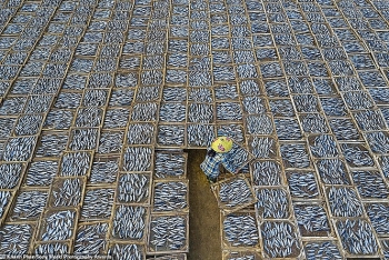 aerial shot of fish market in vietnam among highlighted photos in intl competition