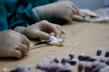 vietnam to order covid 19 vaccines from the us uk and russia