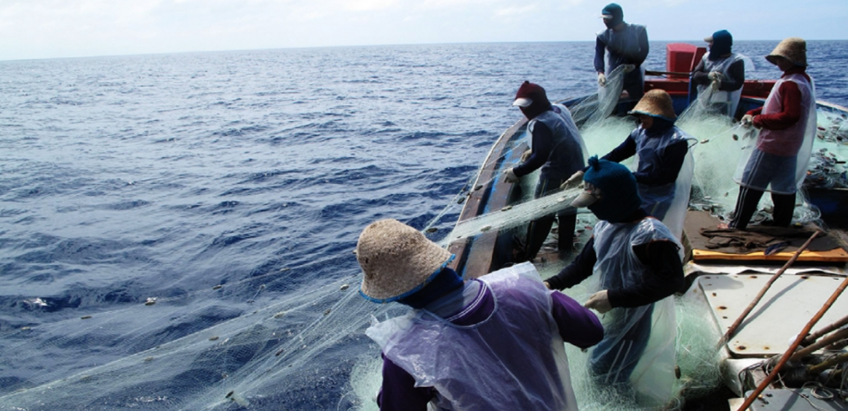 Net fishing flying fish on the sea