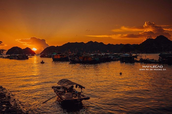 Rare Peaceful Scenes in Hai Phong City Amid Social Distancing