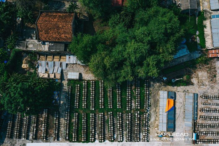 Rare Peaceful Scenes in Hai Phong City Amid Social Distancing