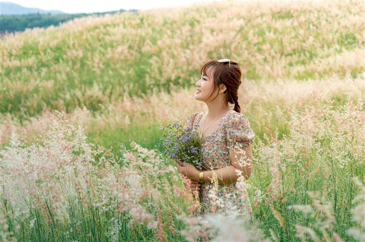 The Pink Grass Fields of Gia Lai