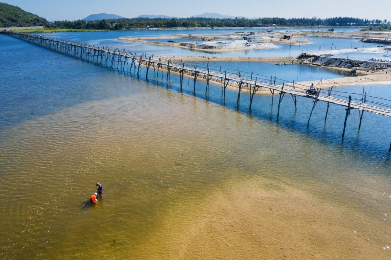 Ong Cop Bridge, Longest Wooden Bridge in Vietnam
