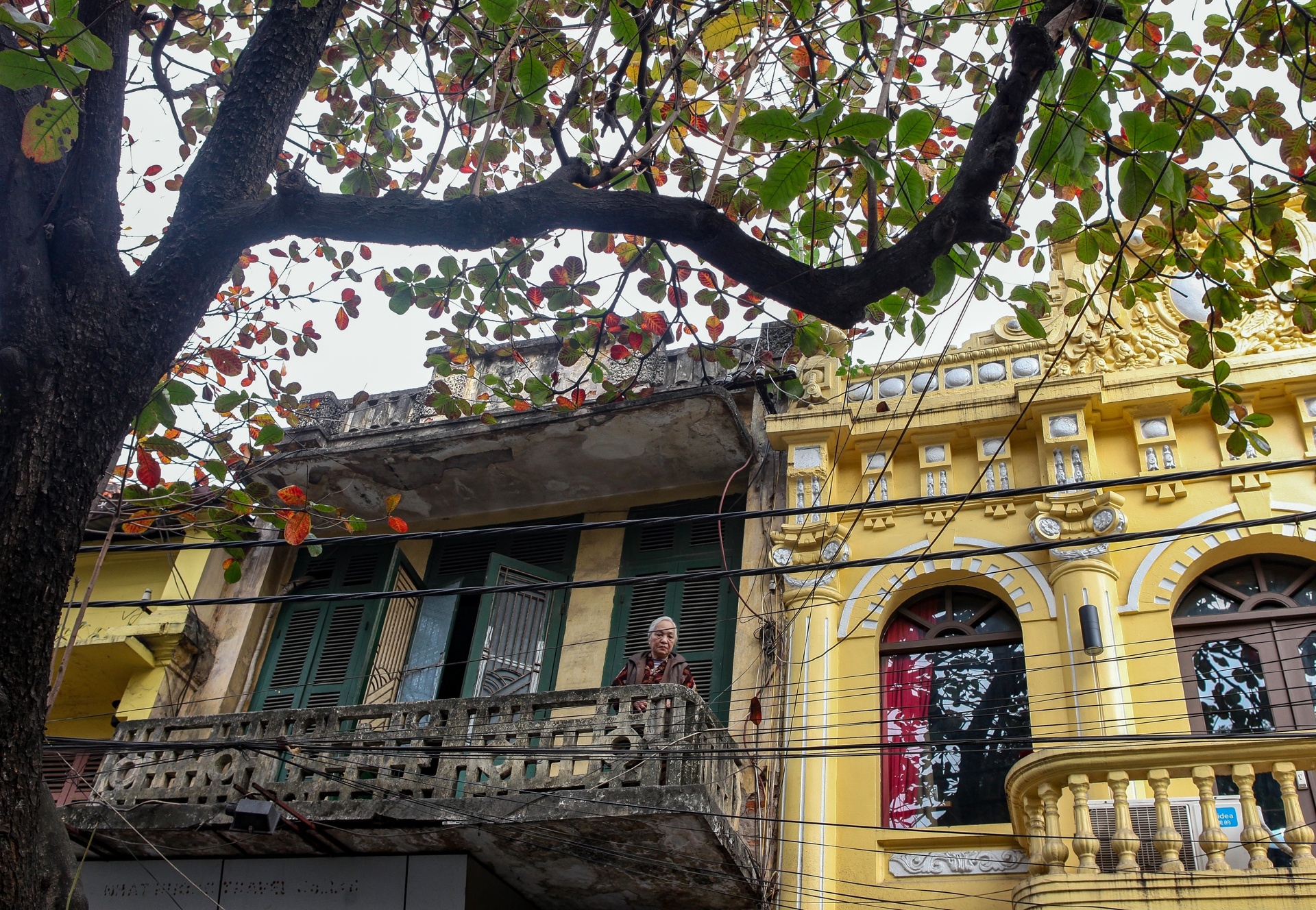 Graceful Hanoi in autumn days Graceful Hanoi in autumn days